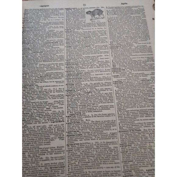 1956 Webster's New International Dictionary - Picture 7 of 13